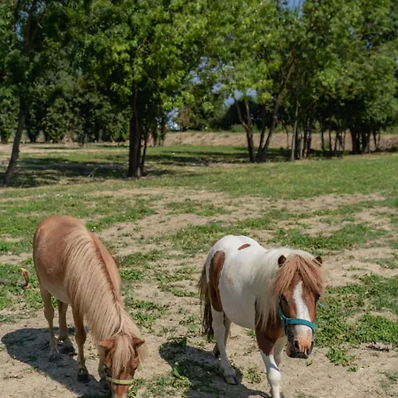 Appartement Iris Modène